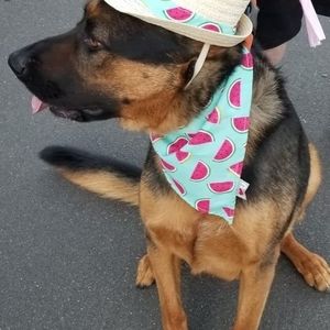 Meet your Posher, Teri